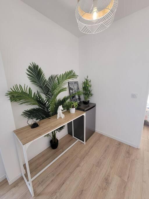Apartmán Superbe T2 Avec Parking Albi Exteriér fotografie